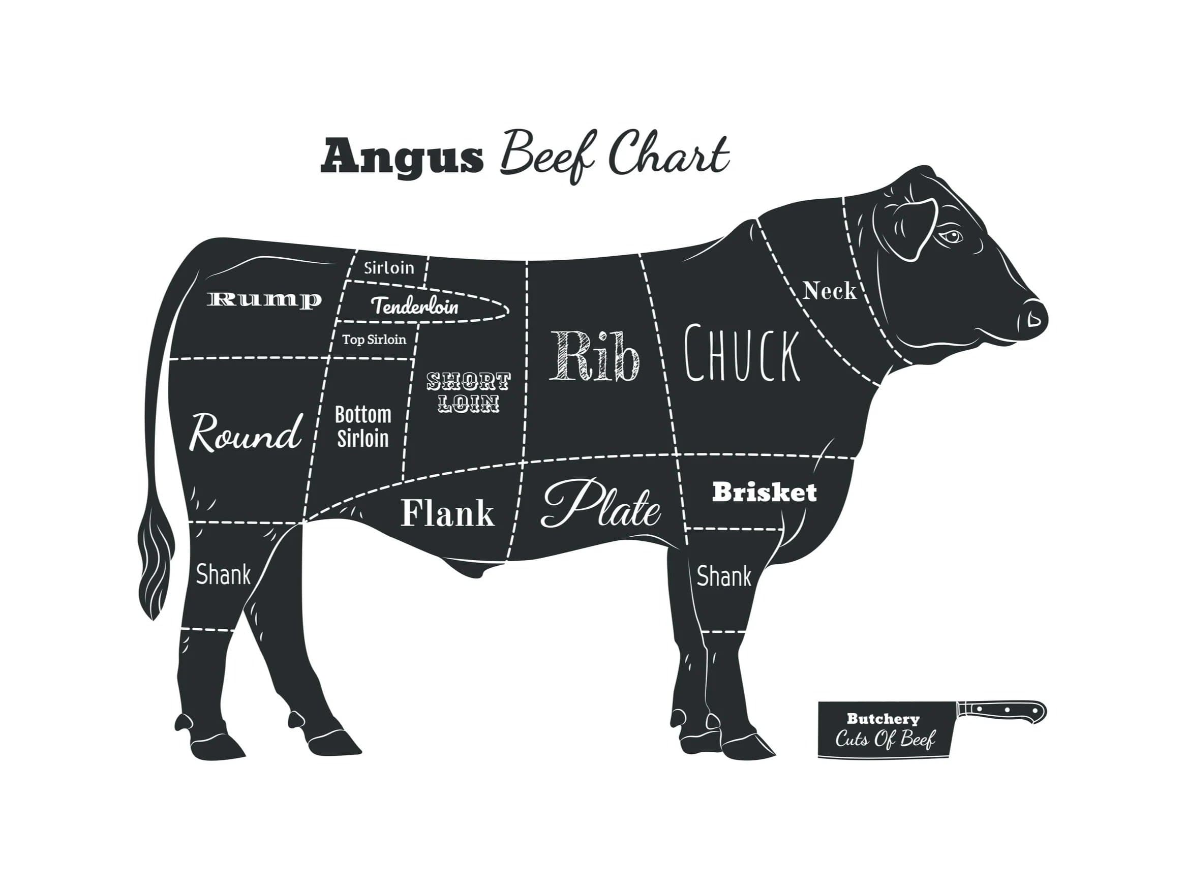 Angus beef chart showing the primal cuts of beef